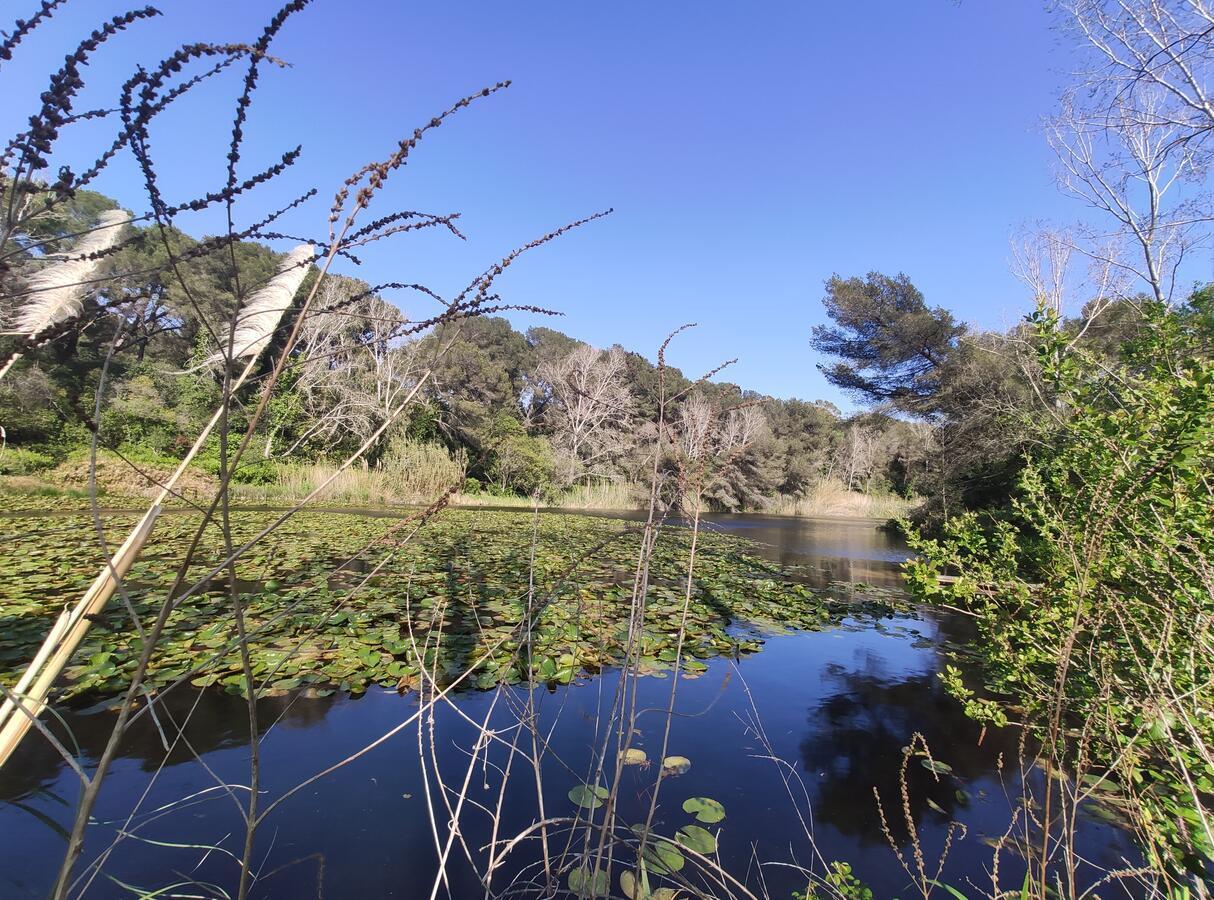 Domaine De La Coudouliere, Vue Mer, Plage, Piscine Et Parc 식스포즈레스플라지스 외부 사진