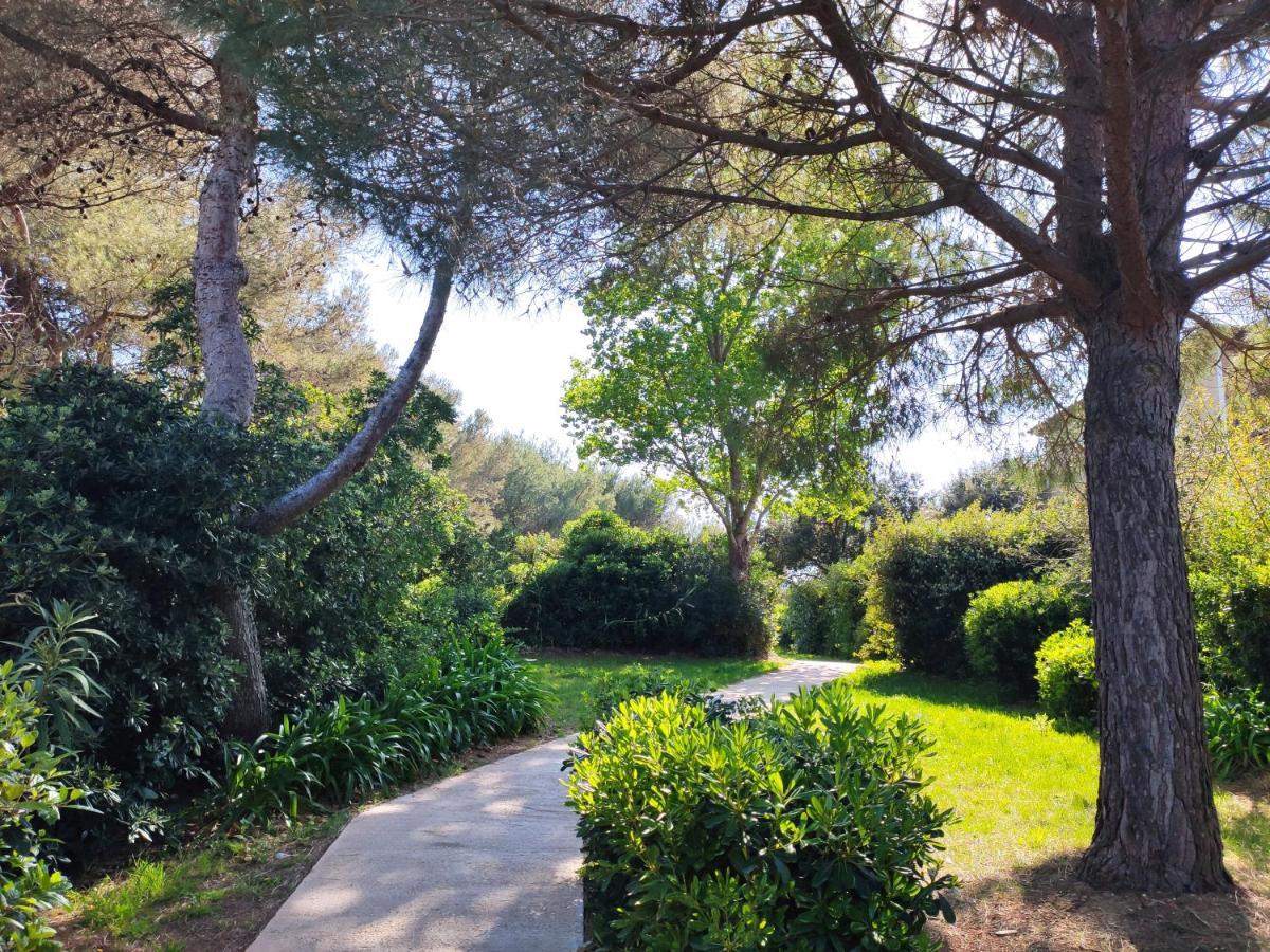 Domaine De La Coudouliere, Vue Mer, Plage, Piscine Et Parc 식스포즈레스플라지스 외부 사진